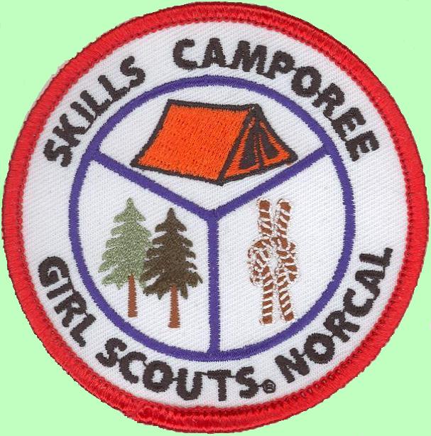 SKILLS patch